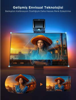 GOVEE ENVISUAL LED 3 LITE 40-50INC - H60973D1