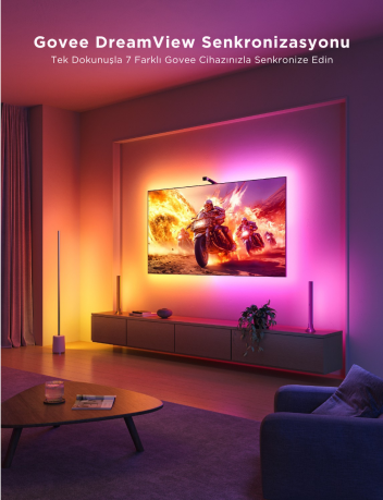 GOVEE ENVISUAL LED 3 LITE 40-50INC - H60973D1